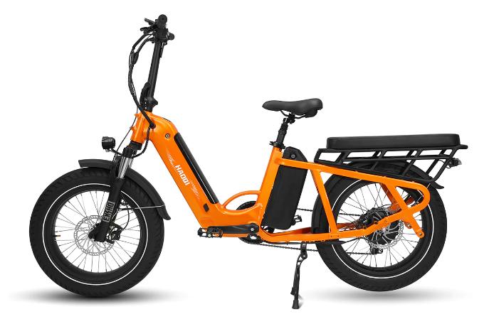 How Cargo ebike Is Your Mini-SUV For Everyday Adventures